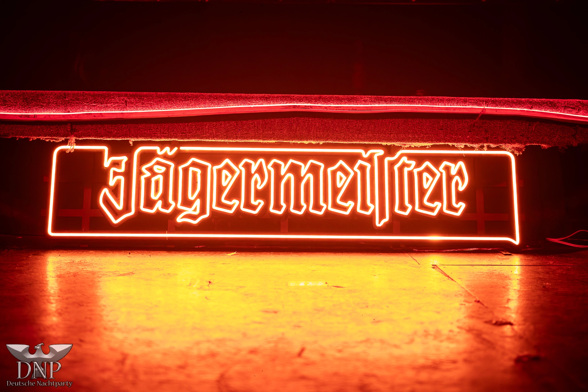 DNP-VAMPIRIMUS-81-copiar